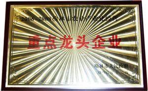 重點龍頭企業(yè)